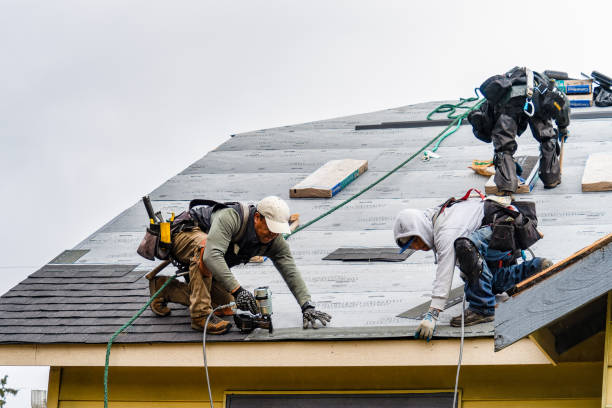 Professional Roof Replacement technician working in Corunna, IN